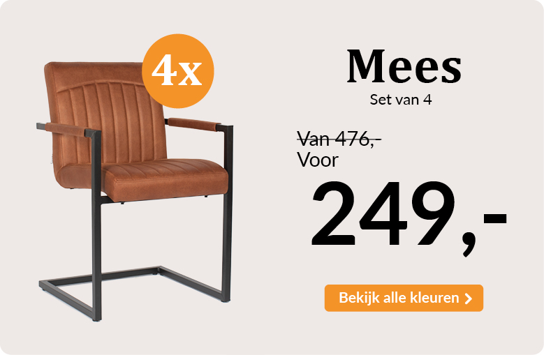 Setprijs_stoel_Mees