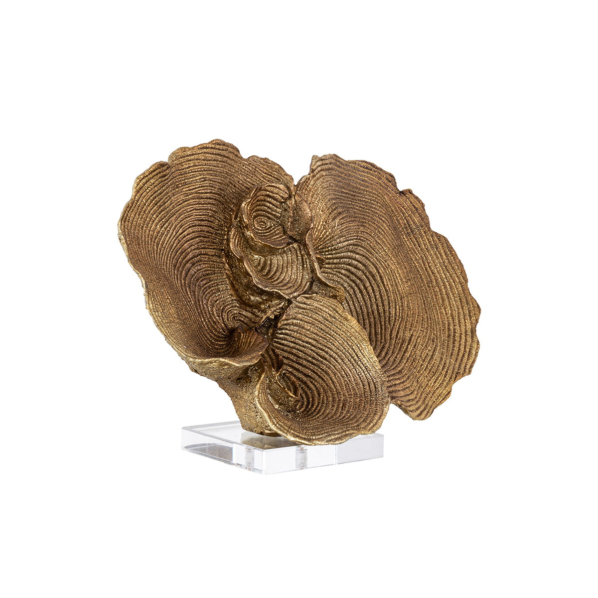 Decoratie Richmond Decoration Bruin - Polyresin - Richmond Interiors