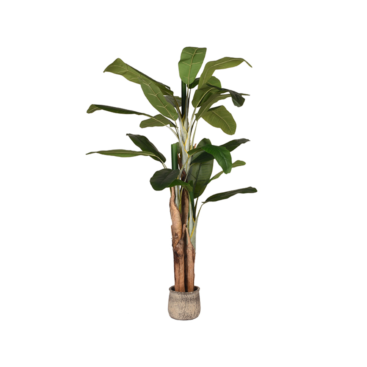 Decoratie Musa Groen - Kunststof - LABEL51