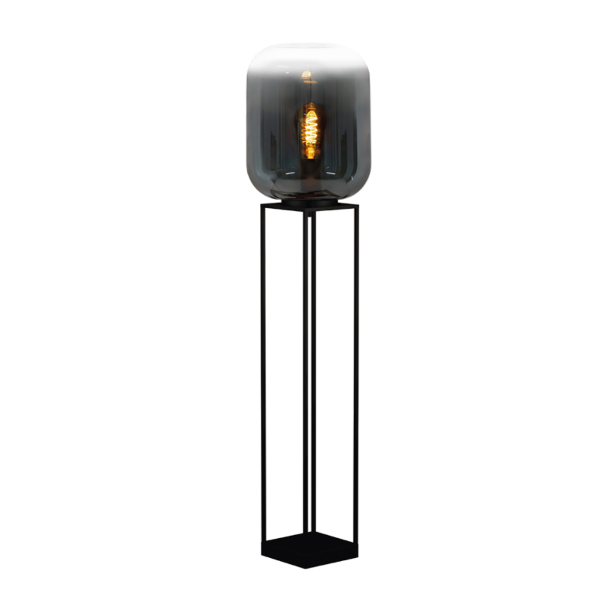 Vloerlamp  Zwart - Glas - Eglo
