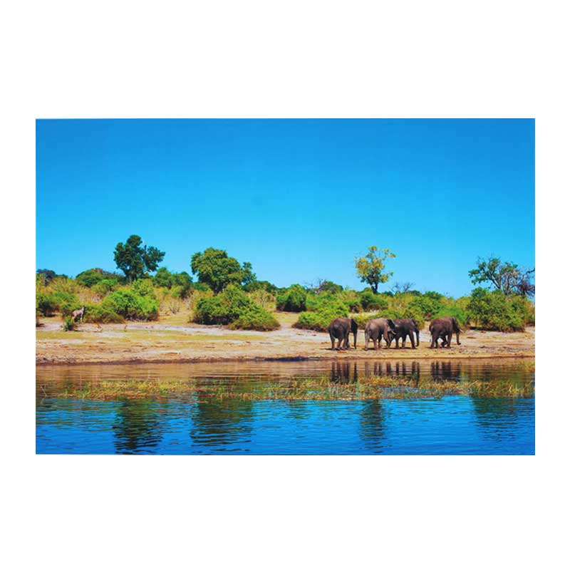 Schilderij Elephants Multi - Canvas - LABEL51