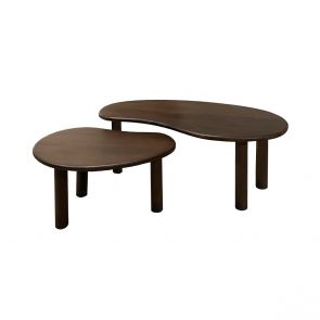 Salontafelset Nubi