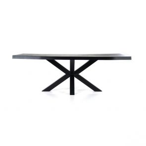 Eleonora - Eettafel Boomstam 200x100 cm