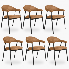 6x Eetkamerstoel Sterre