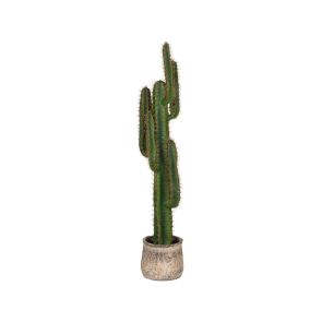 Kunstplant Cactus 30x25x130 cm