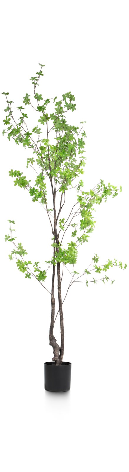 Decoratie Coco Maison - Groen - - Coco Maison