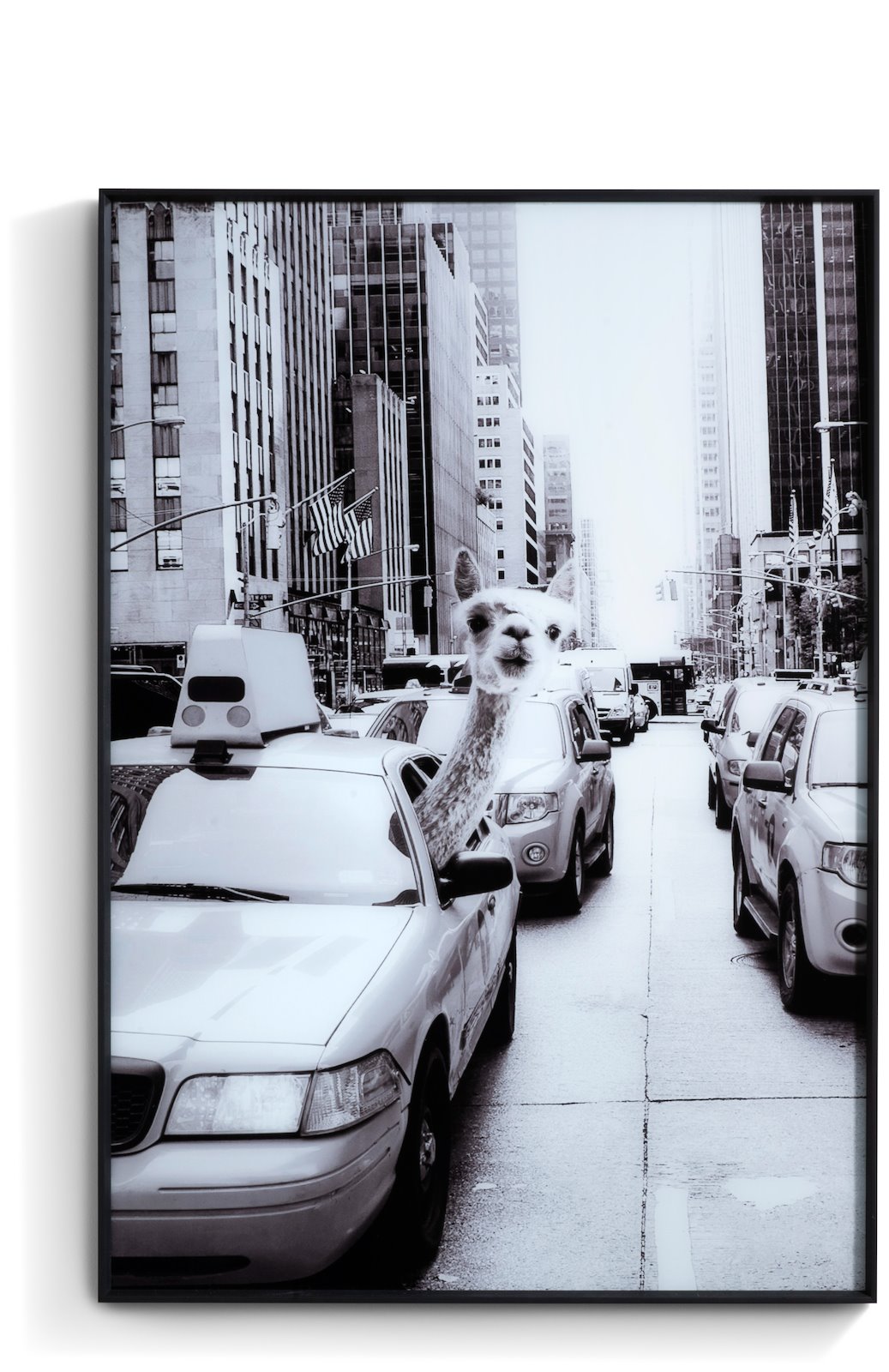 Wanddecoratie Coco Maison - Zwart - - Coco Maison