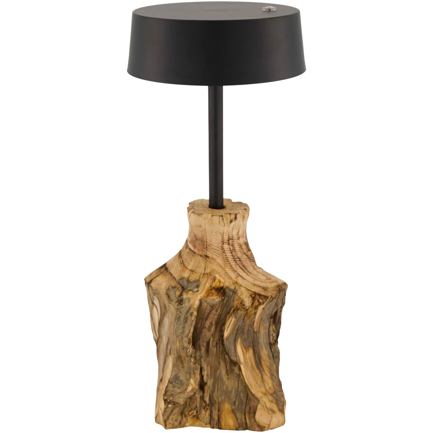 Decoratie Accessoires voorjaar 2026 - Zwart - - Profijt Meubel