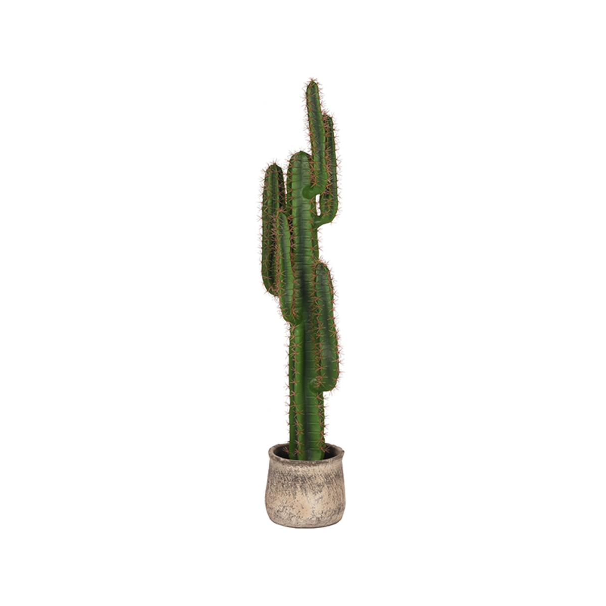 Decoratie Cactus - Groen - Kunststof - Modern - LABEL51