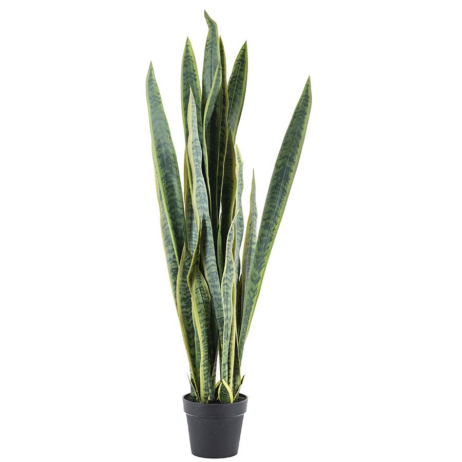 Decoratie Sansevieria - Groen - Kunststof - By Boo
